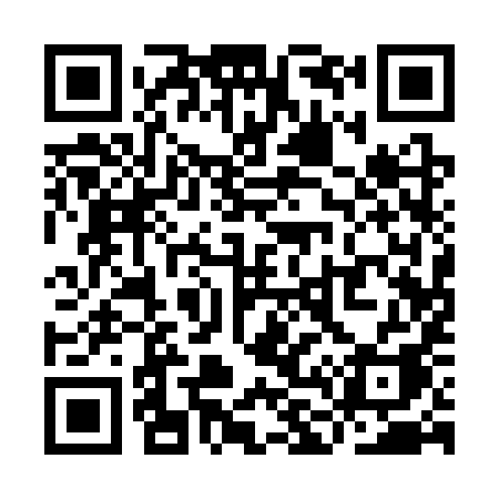 QR code for YL13YA