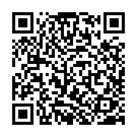 QR code for YL29ZX