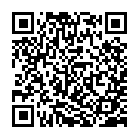 QR code for YL31MM