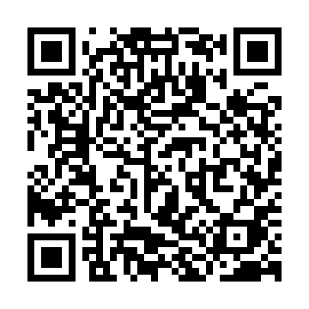 QR code for YL79PI