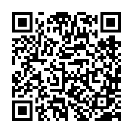 QR code for YL86DS