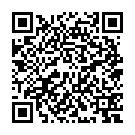 QR code for YLA6729