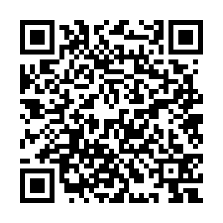QR code for YLB7333