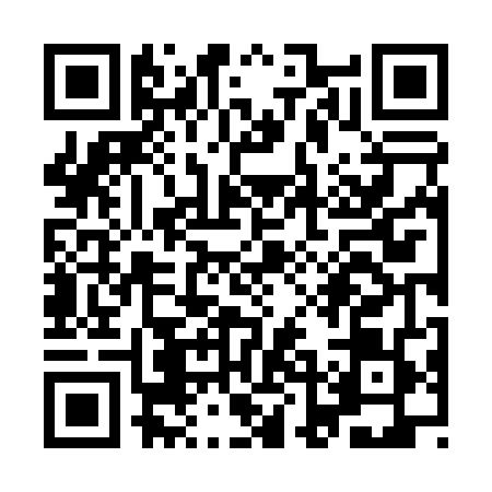 QR code for YLN0494