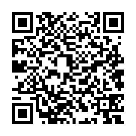 QR code for YLV3381