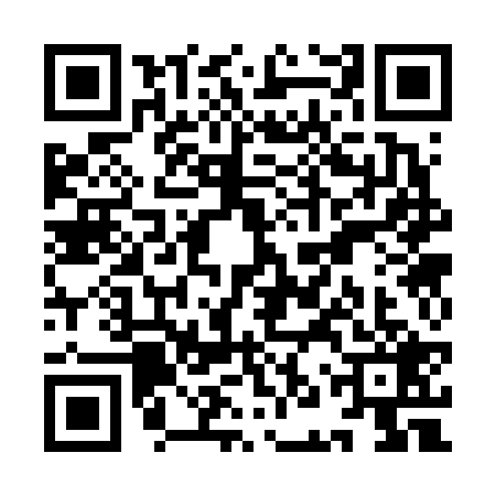 QR code for YNS6295