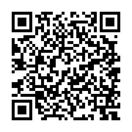 QR code for YNZ0833