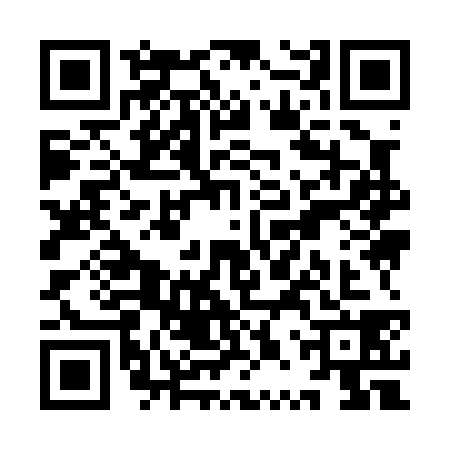 QR code for YPY0380