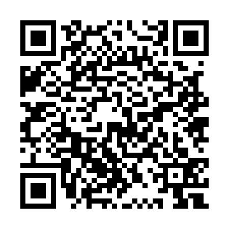 QR code for YPZ1338