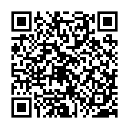 QR code for YPZ2800