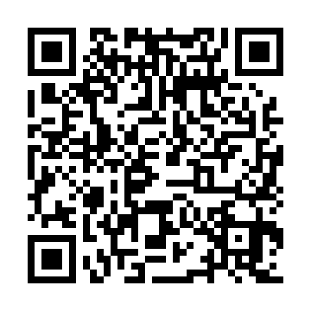 QR code for YQN0313