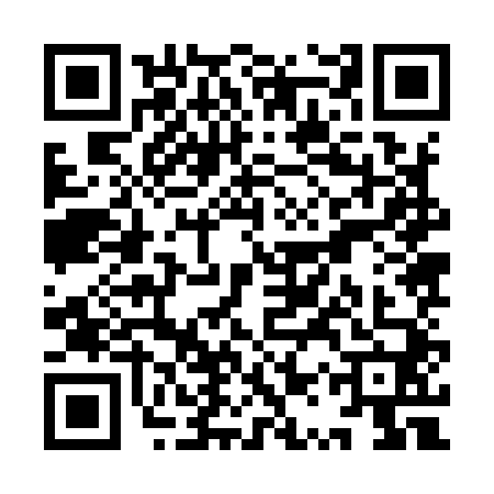 QR code for YQZ9409