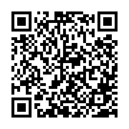 QR code for YS65DV