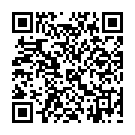 QR code for YS96IO