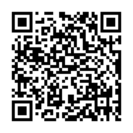 QR code for YSD1381