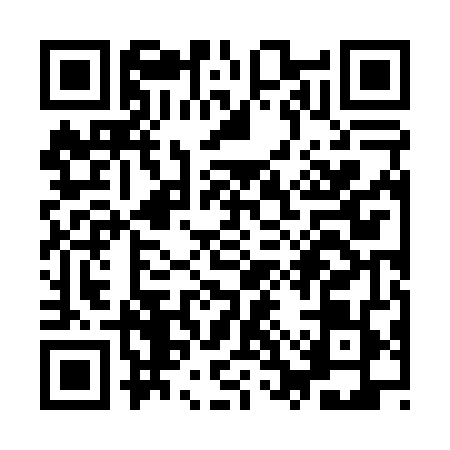 QR code for YSZ0491