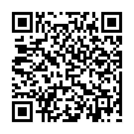 QR code for YT33DS