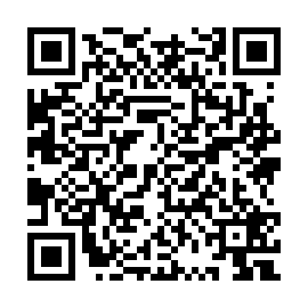 QR code for YVI3295
