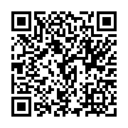 QR code for YVV2869