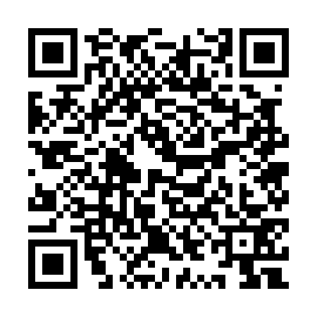 QR code for YYG0738