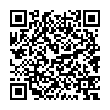 QR code for YYN6399
