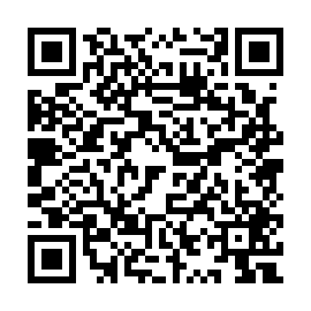 QR code for YYP1493