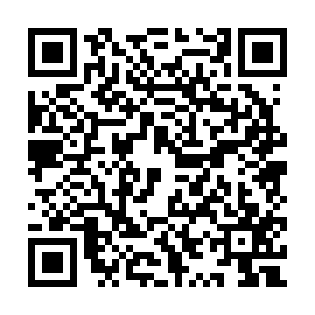 QR code for YYP2176