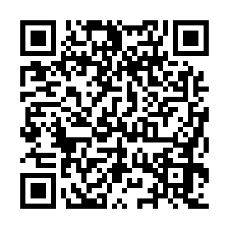 QR code for YYR1729