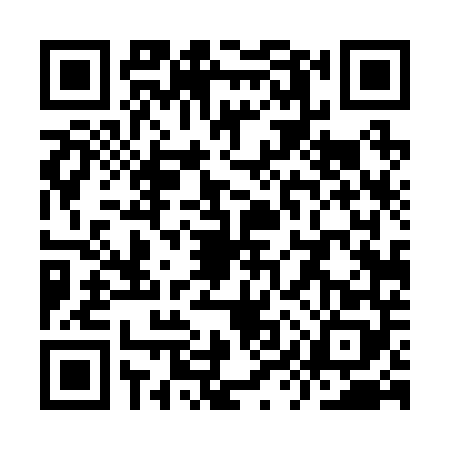 QR code for YYT2487