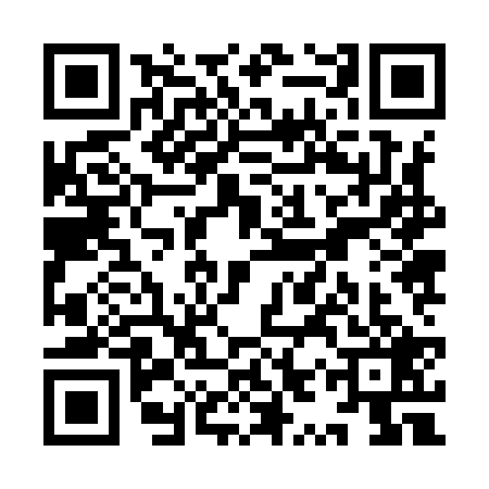 QR code for YYZ9295