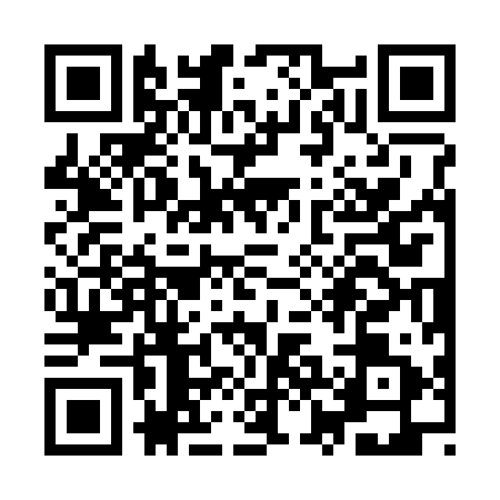 QR code for YZC3919