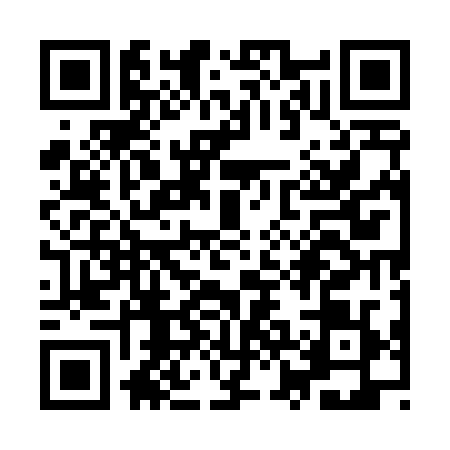 QR code for YZE4295