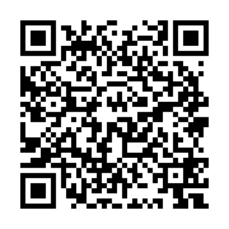 QR code for YZI2689