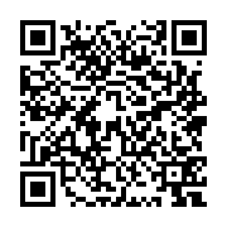 QR code for YZM1737