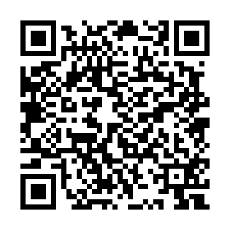 QR code for YZP4121