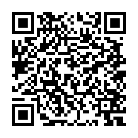 QR code for YZS4438
