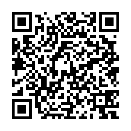 QR code for ZAP0383
