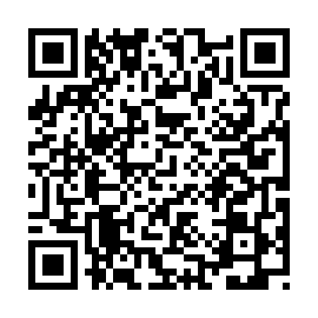 QR code for ZAP6496