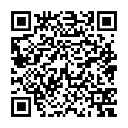 QR code for ZCH3341