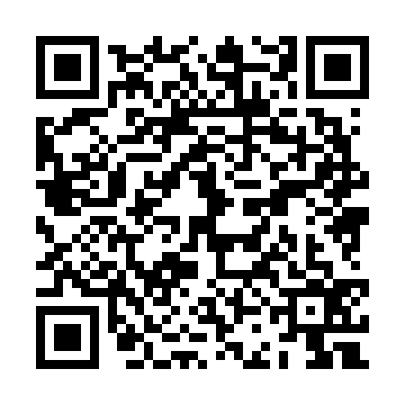 QR code for ZCH6369