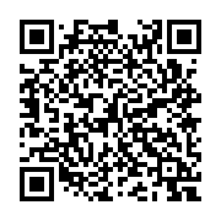 QR code for ZD11YB