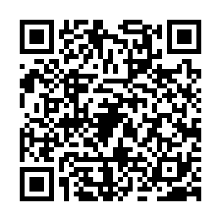 QR code for ZDD3311