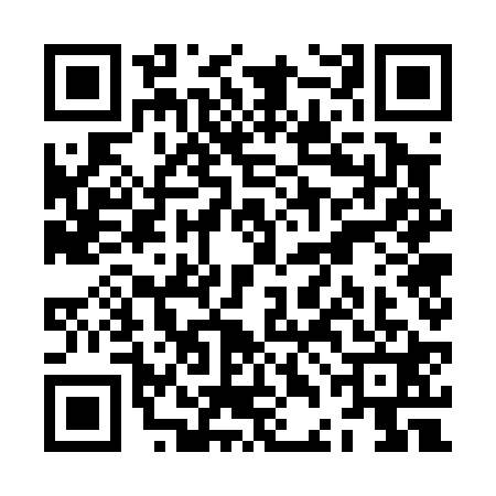 QR code for ZDG0217