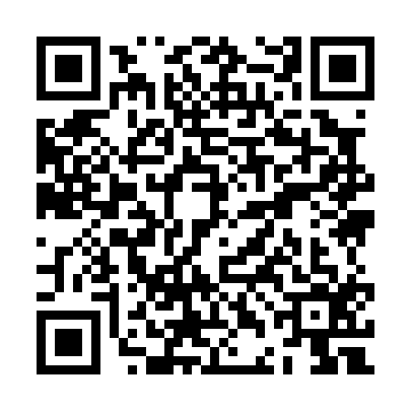 QR code for ZDI0163