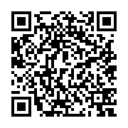 QR code for ZDJ1391