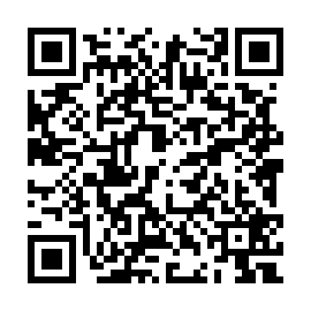 QR code for ZDL5293