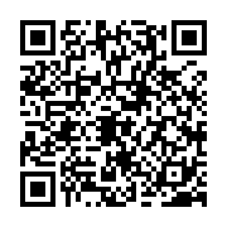 QR code for ZDX9313