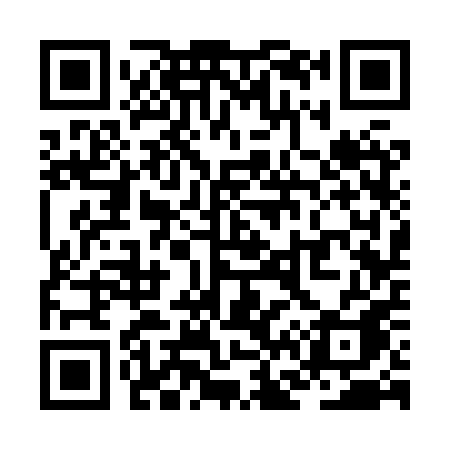QR code for ZF38PA