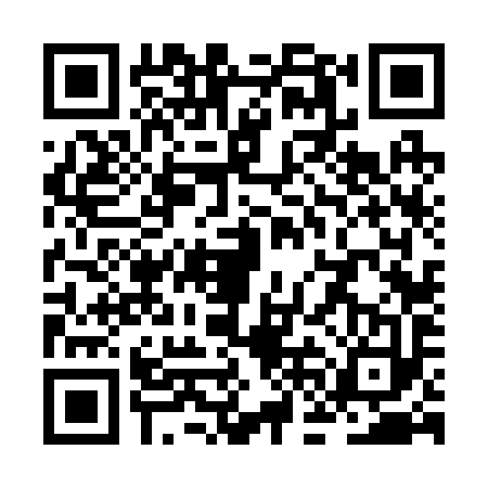 QR code for ZFF2938