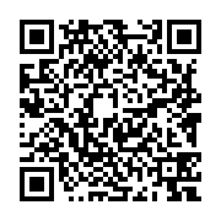 QR code for ZGL9383